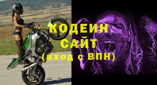 молекула духа Волосово