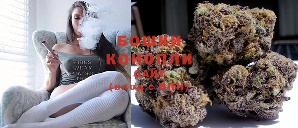 молекула духа Волосово